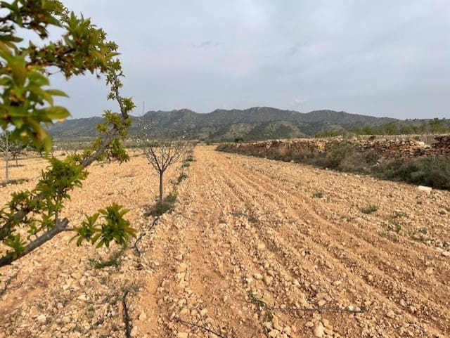 Terreno/Finca Rústica en Yecla en venta - 54.900 € (Ref: 9981449)
