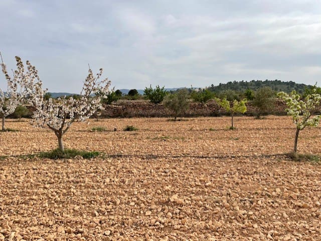 Terreno/Finca Rústica en Yecla en venta - 54.900 € (Ref: 9981449)