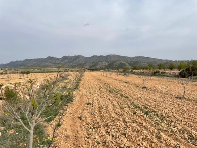 Terreno/Finca Rústica en Yecla en venta - 54.900 € (Ref: 9981449)