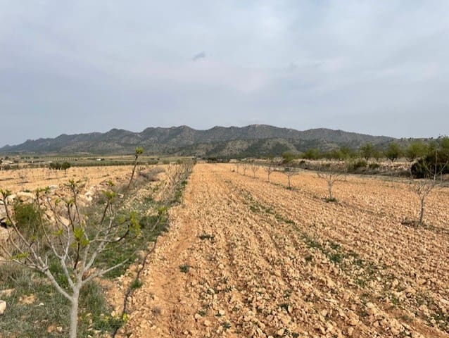 Terreno/Finca Rústica en Yecla en venta - 54.900 € (Ref: 9981449)