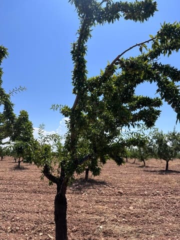 Ubebygd land til salgs i Granada by - € 255 000 (Ref: 9985307)