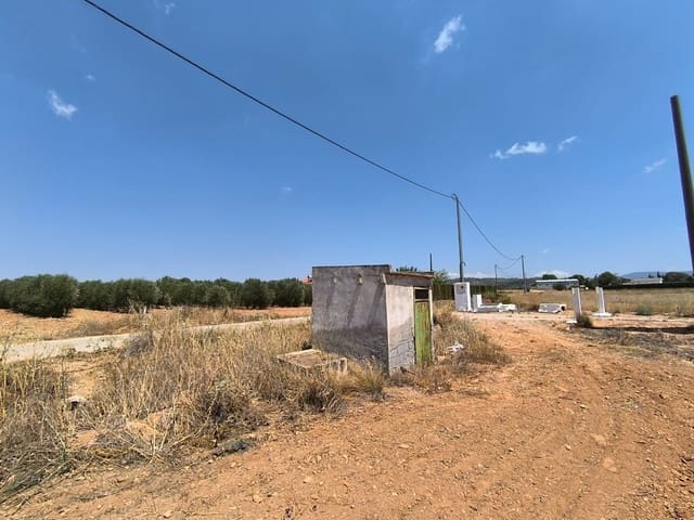 Terreno/Finca Rústica en Yecla en venta - 120.000 € (Ref: 9989959)