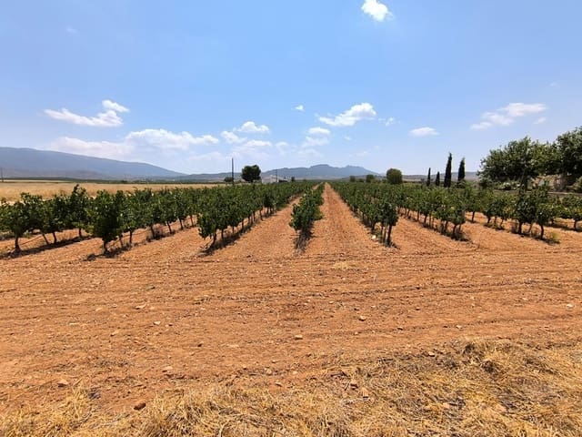 Terreno/Finca Rústica en Yecla en venta - 120.000 € (Ref: 9989959)
