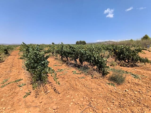 Terreno/Finca Rústica en Yecla en venta - 120.000 € (Ref: 9989959)