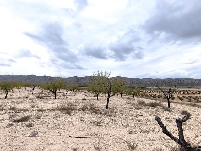 Grond te koop in Yecla - € 48.000 (Ref: 9991807)