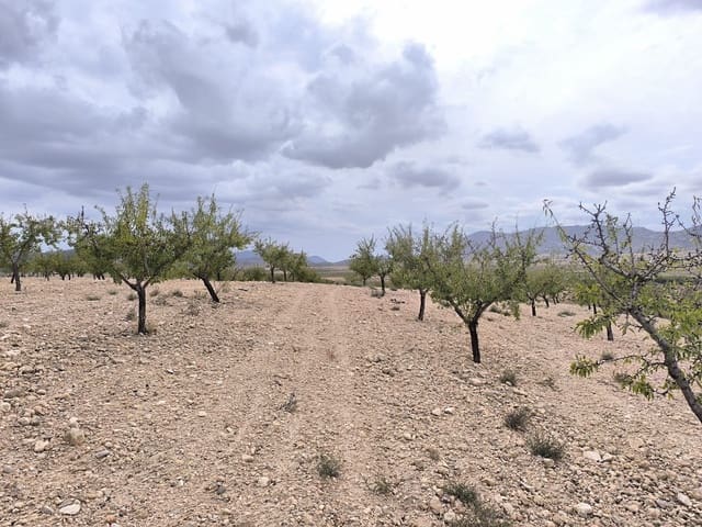 Grond te koop in Yecla - € 48.000 (Ref: 9991807)