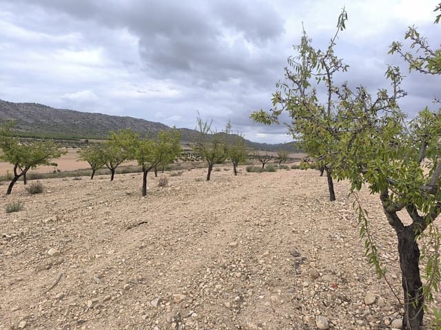 Grond te koop in Yecla - € 48.000 (Ref: 9991807)