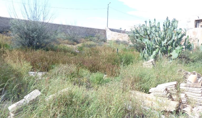 Terre non Aménagée à vendre à Alhama de Murcia - 17 000 € (Ref: 6810638)