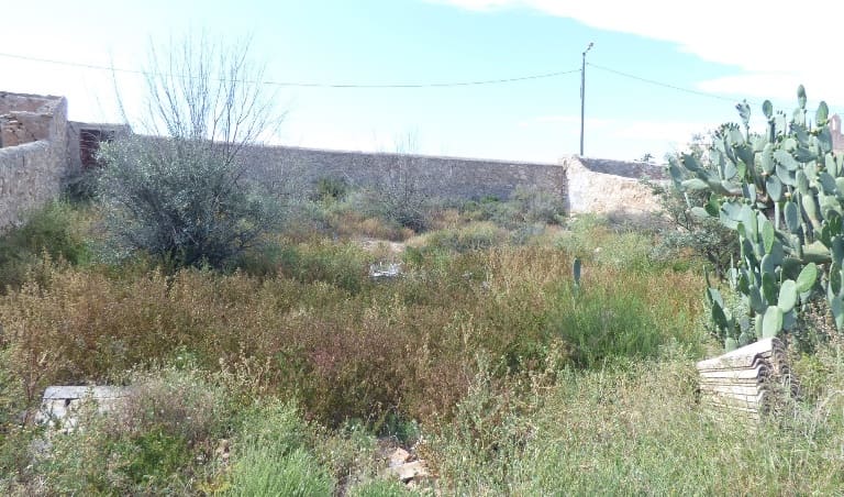 Terre non Aménagée à vendre à Alhama de Murcia - 17 000 € (Ref: 6810638)