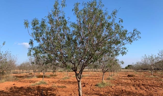 Finca/Herregård til salgs i La Aljorra, Cartagena - € 39 000 (Ref: 6810724)