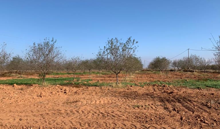 Finka/Dom wiejski na sprzedaż w Kartagena - 39 000 € (Ref: 6810724)