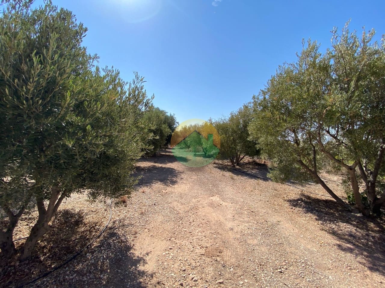 3 soverom Finca/Herregård til salgs i Totana - € 248 000 (Ref: 8494099)