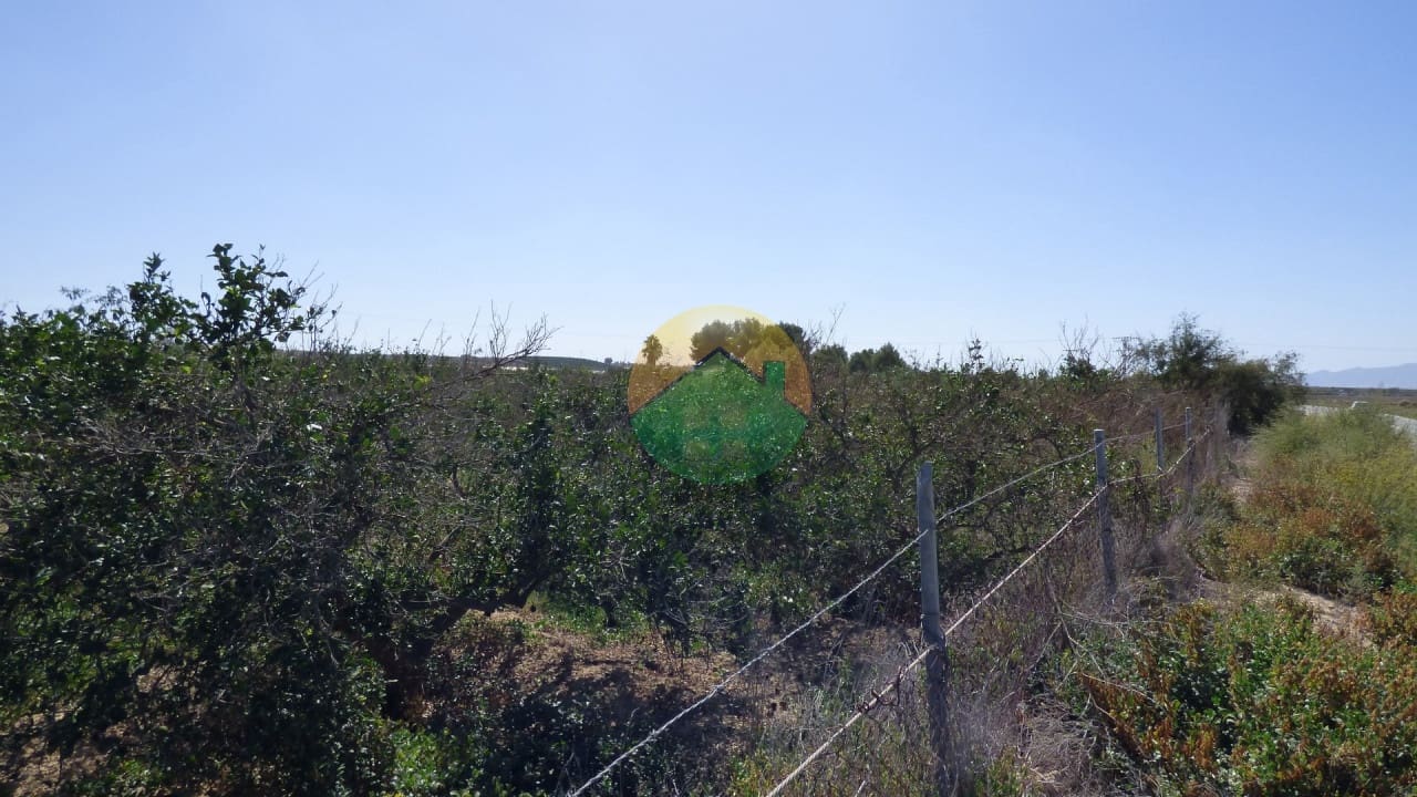 Grunde uden byggetilladelser til salg i Alhama de Murcia - € 59.000 (Ref: 8560427)