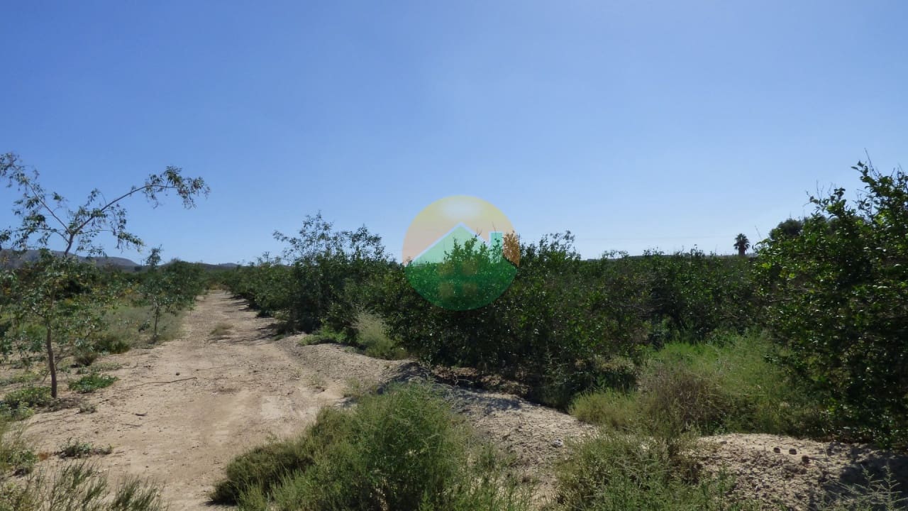 Grunde uden byggetilladelser til salg i Alhama de Murcia - € 59.000 (Ref: 8560427)