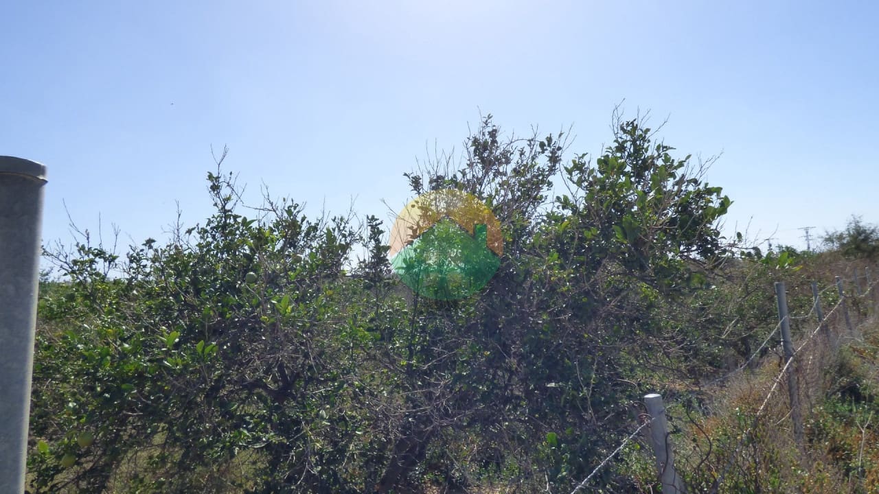 Grunde uden byggetilladelser til salg i Alhama de Murcia - € 59.000 (Ref: 8560427)