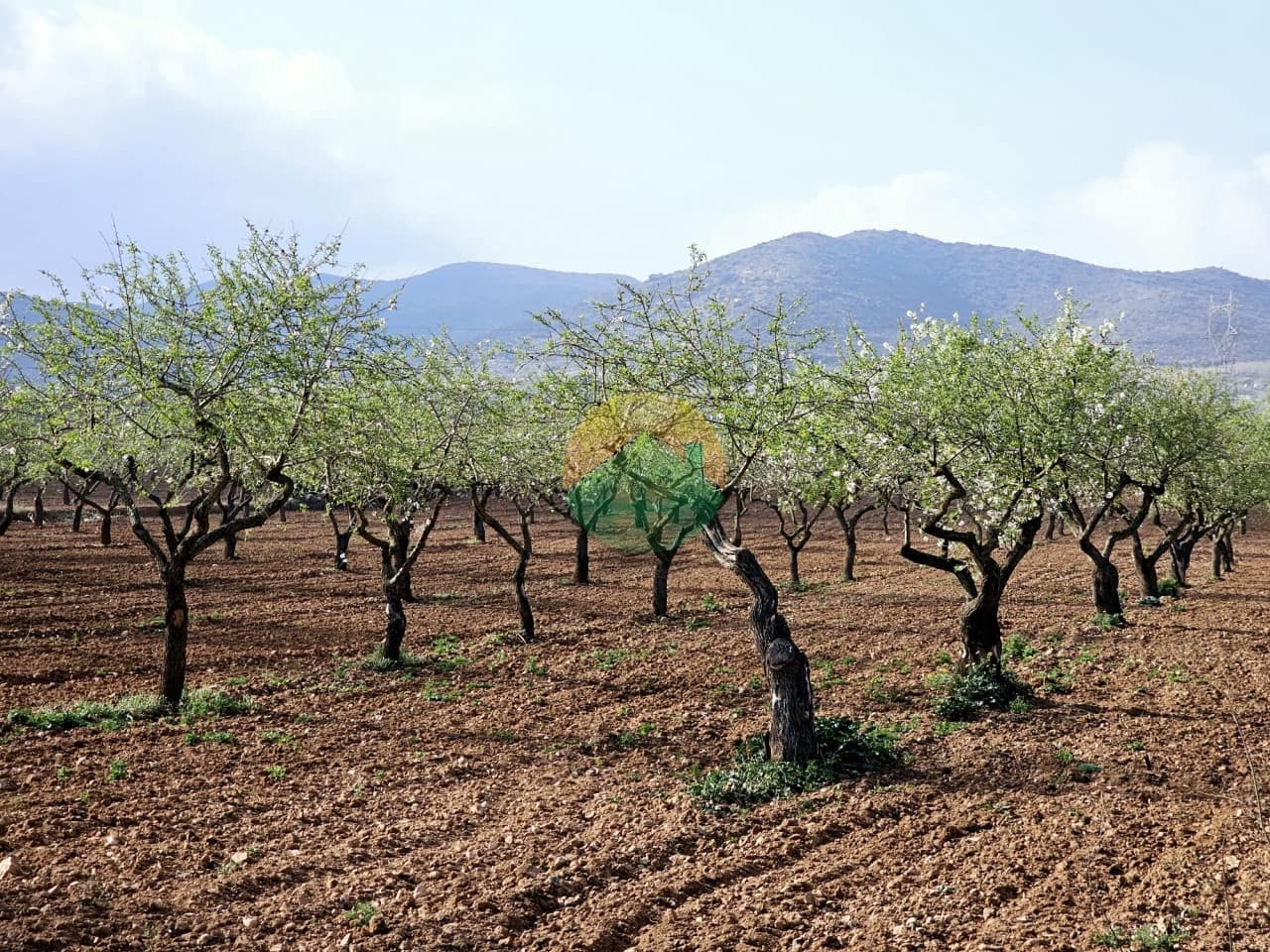 3 quarto Moradia Geminada para venda em Las Palas com garagem - 149 995 € (Ref: 8826329)