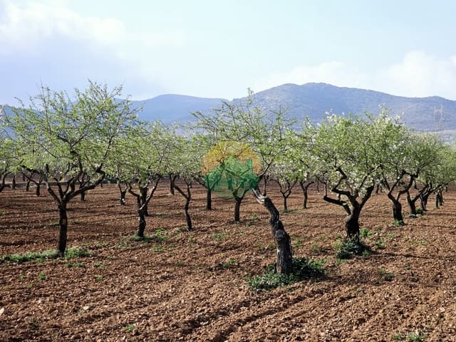 3 bedroom Semi-detached Villa for sale in Las Palas, Fuente Alamo de Murcia with garage - € 149,995 (Ref: 8826329)