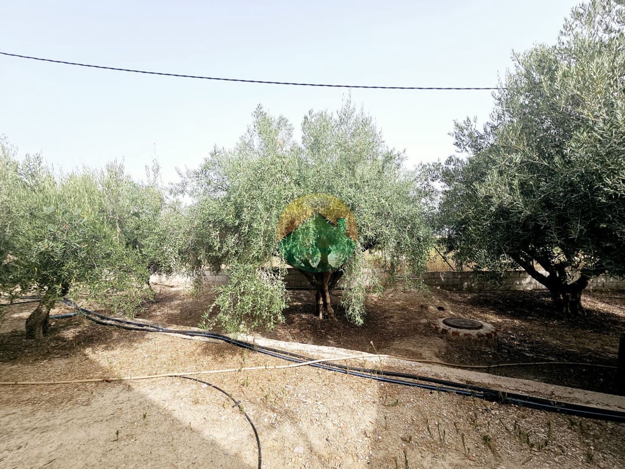 3 soverom Villa til salgs i Librilla med svømmebasseng - € 219 995 (Ref: 9191736)