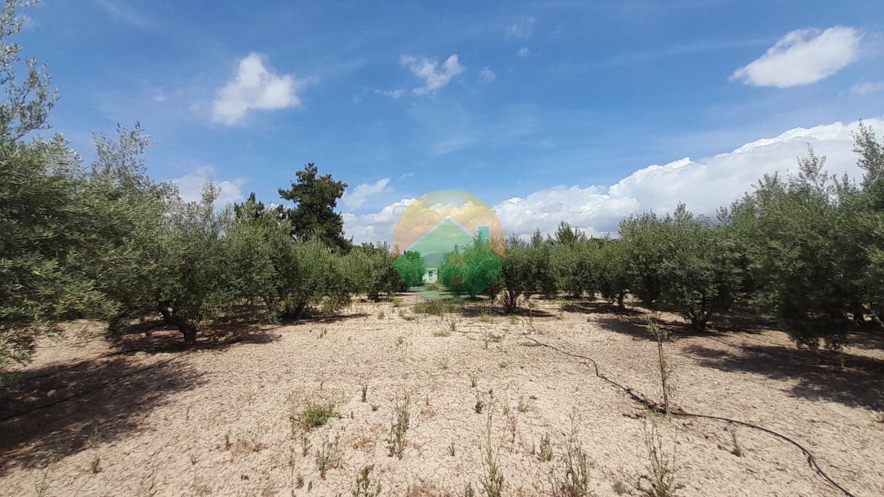 Adosado de 2 habitaciones en Totana en venta con piscina garaje - 389.000 € (Ref: 9914540)