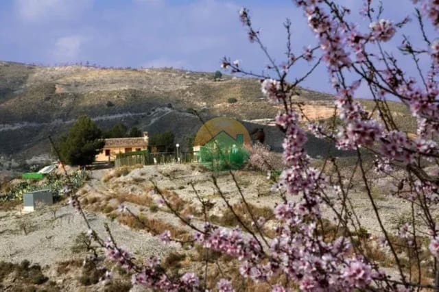4 slaapkamer Finca/Landhuis te koop in Lorca met zwembad garage - € 190.000 (Ref: 9991951)