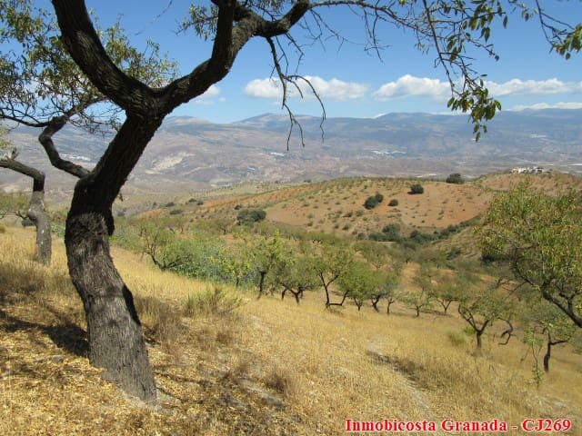 4 slaapkamer Finca/Landhuis te koop in Cadiar met garage - € 155.000 (Ref: 3179480)