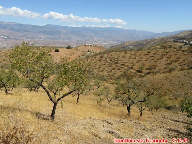 4 slaapkamer Finca/Landhuis te koop in Cadiar met garage - € 155.000 (Ref: 3179480)