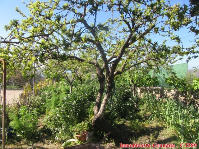 5 quarto Quinta/Casa Rural para venda em Albondon com garagem - 250 000 € (Ref: 4005385)