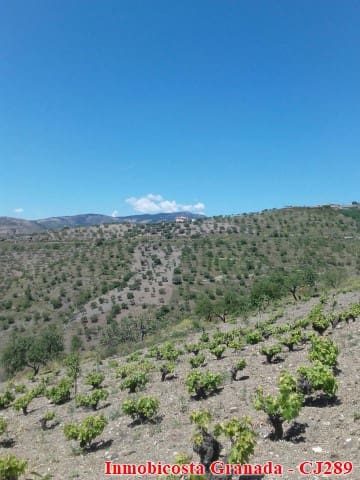 5 quarto Quinta/Casa Rural para venda em Albondon com garagem - 250 000 € (Ref: 4005385)