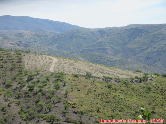 5 quarto Quinta/Casa Rural para venda em Albondon com garagem - 250 000 € (Ref: 4005385)