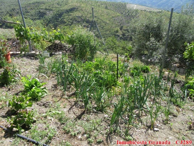 5 quarto Quinta/Casa Rural para venda em Albondon com garagem - 250 000 € (Ref: 4005385)