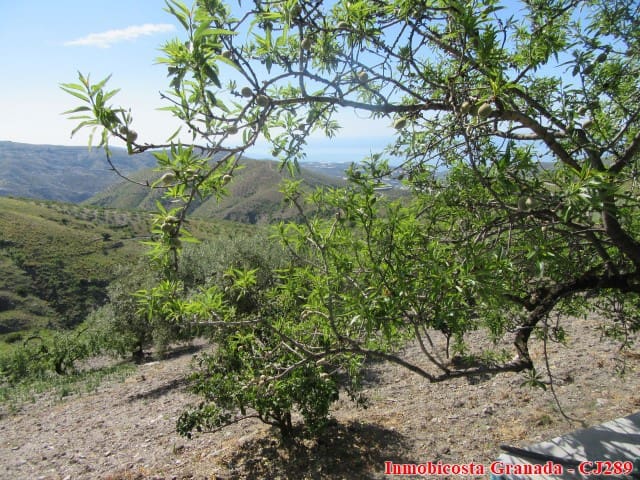 5 quarto Quinta/Casa Rural para venda em Albondon com garagem - 250 000 € (Ref: 4005385)