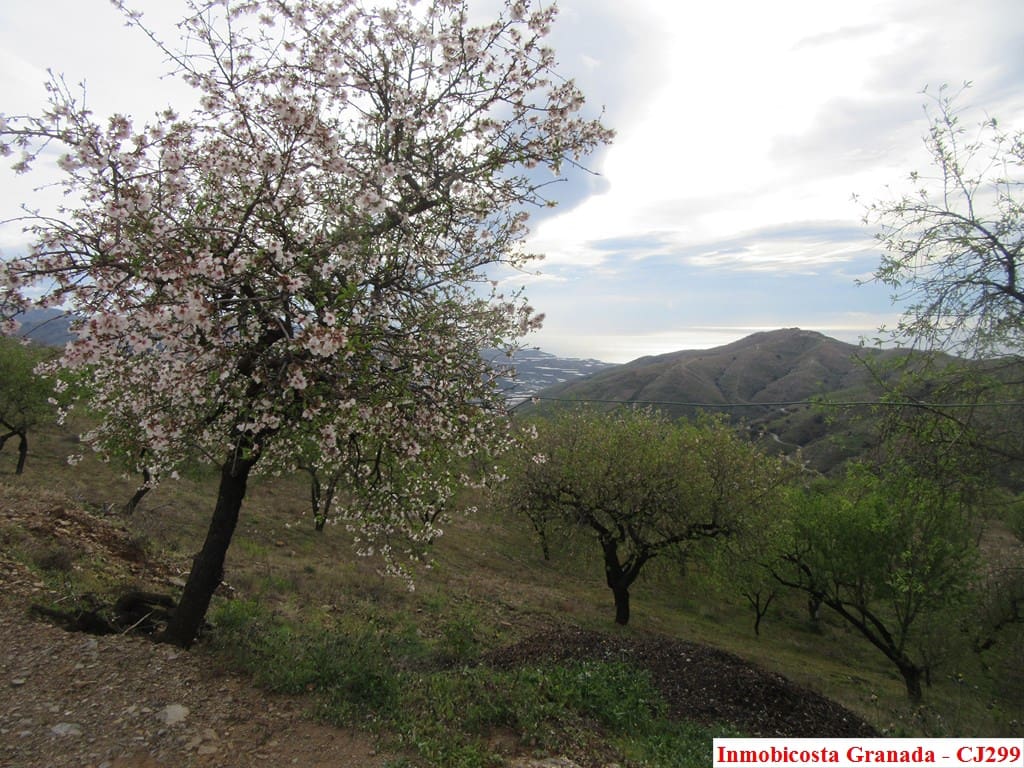 2 soveværelse Finca/Landehus til salg i Sorvilan med garage - € 300.000 (Ref: 4448393)