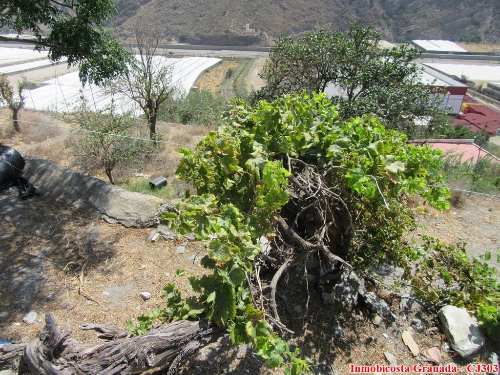 5 soveværelse Finca/Landehus til salg i Albunol med garage - € 130.000 (Ref: 4695118)