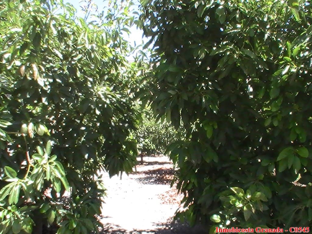 4 sypialnia Dom na sprzedaż w Albunol z garażem - 150 000 € (Ref: 5498484)