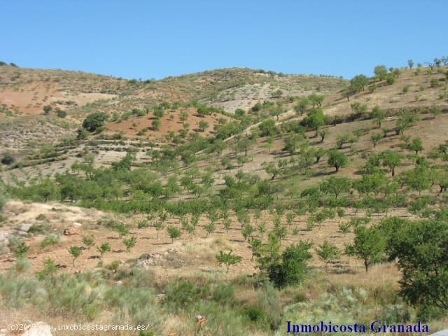 Finca/Landehus til salg i Turon med garage - € 79.999 (Ref: 561718)