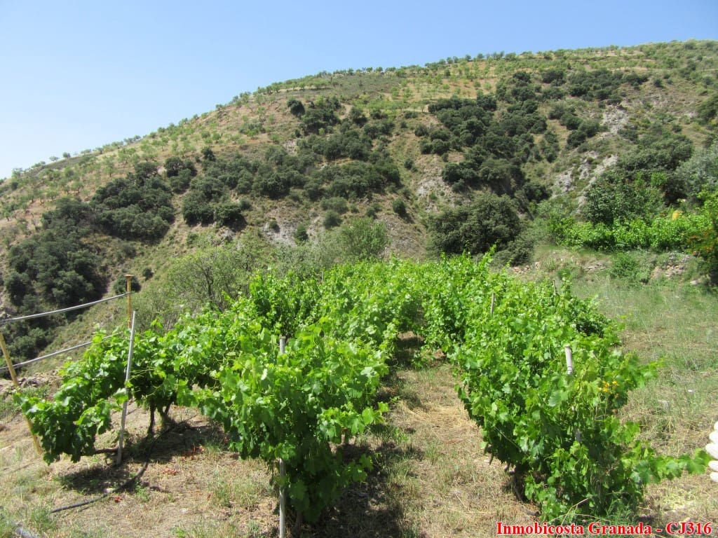 4 soveværelse Finca/Landehus til salg i Nieles med garage - € 133.000 (Ref: 6125801)