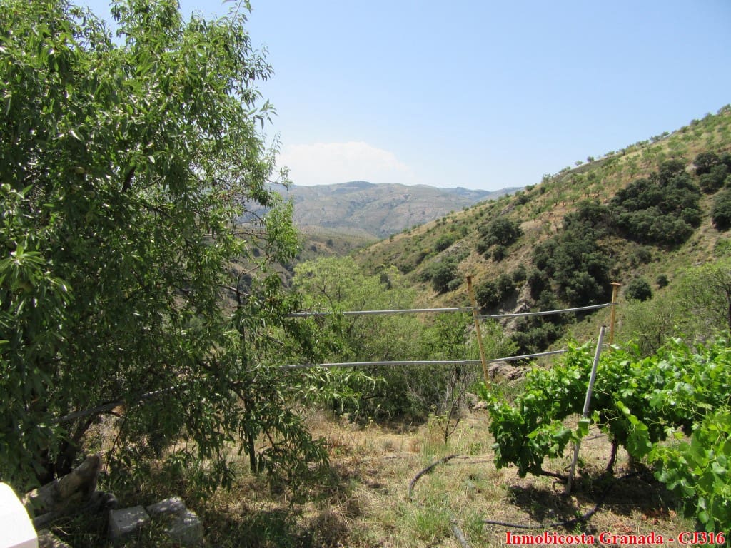 4 soveværelse Finca/Landehus til salg i Nieles med garage - € 133.000 (Ref: 6125801)