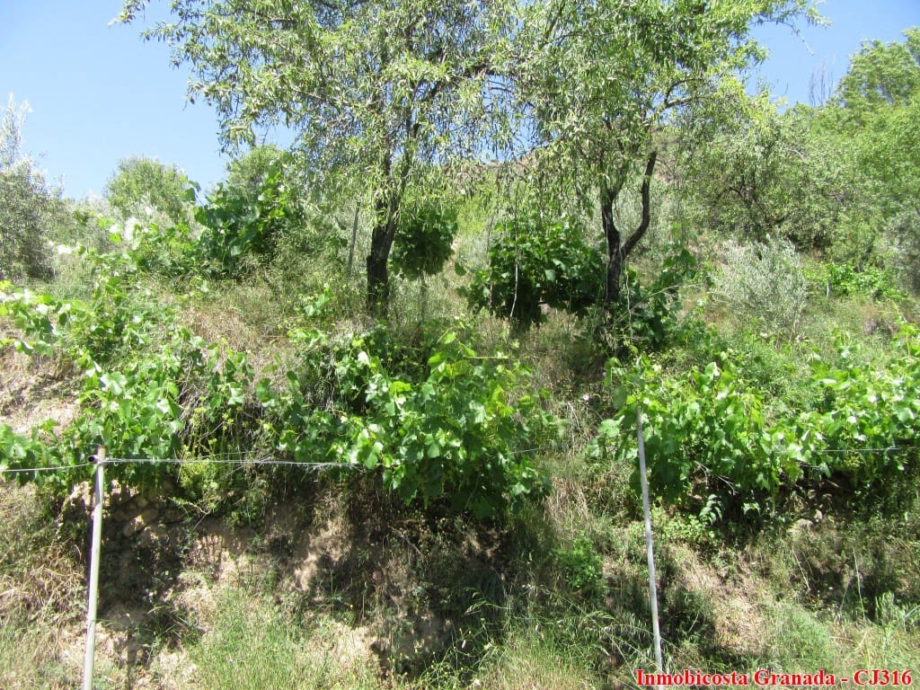 4 soveværelse Finca/Landehus til salg i Nieles med garage - € 133.000 (Ref: 6125801)