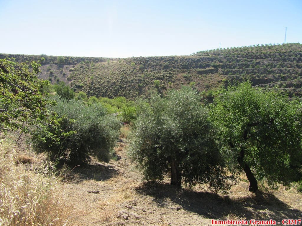 3 soveværelse Finca/Landehus til salg i Albondon - € 85.000 (Ref: 6225798)