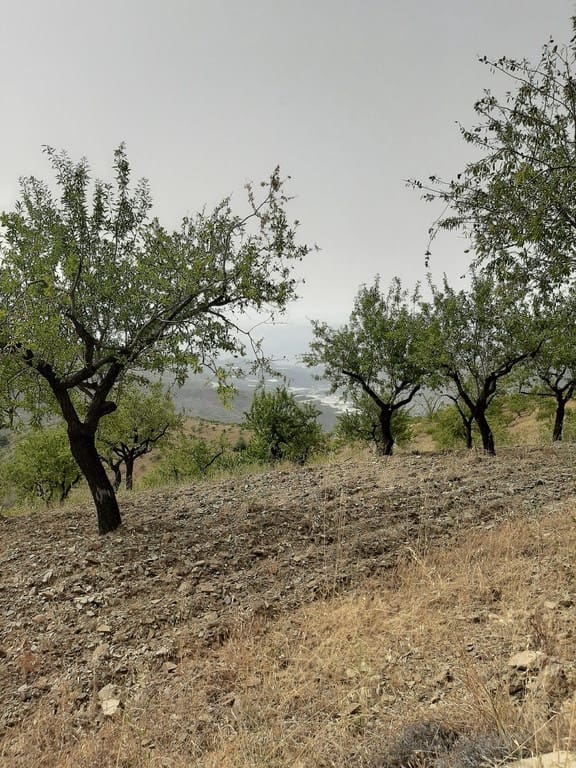 9 soveværelse Byhus til salg i Albunol med garage - € 325.000 (Ref: 6264373)