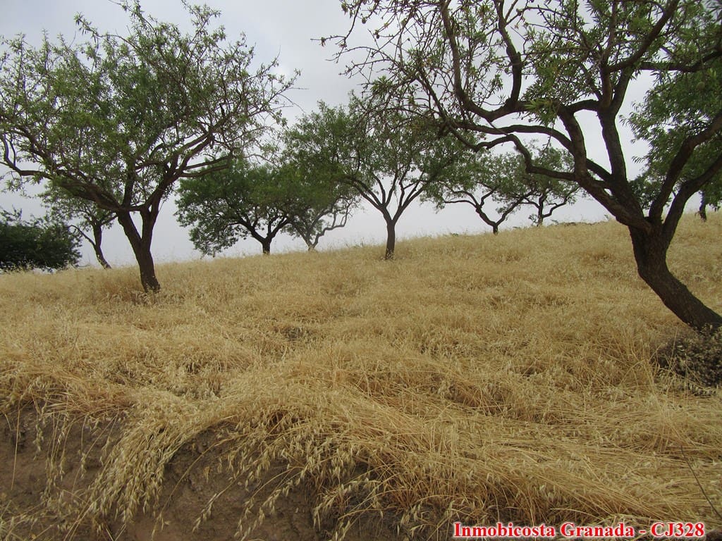 3 soveværelse Finca/Landehus til salg i Albondon - € 40.000 (Ref: 6931181)