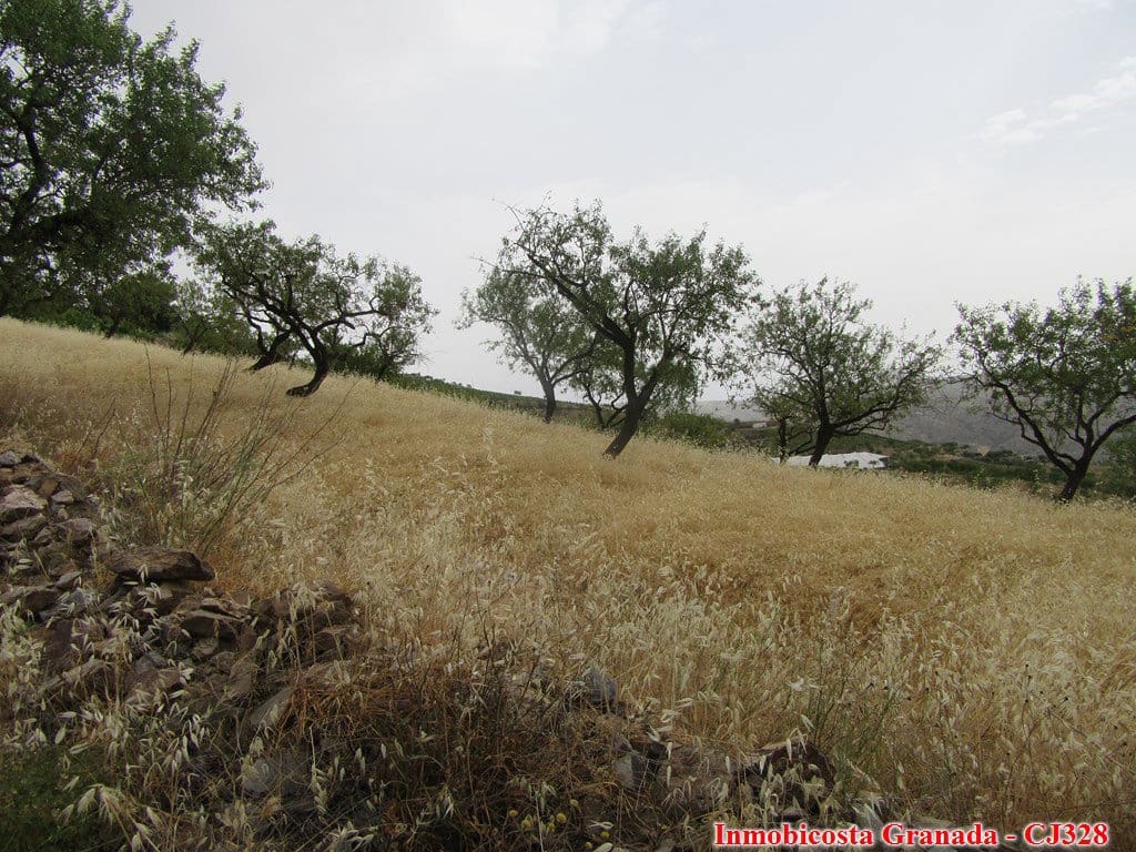 3 chambre Finca/Maison de Campagne à vendre à Albondon - 40 000 € (Ref: 6931181)