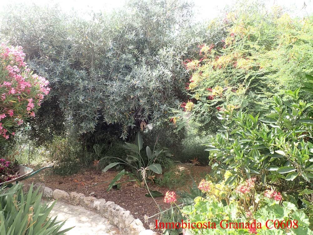 3 soveværelse Byhus til salg i Alfornon med swimmingpool garage - € 170.000 (Ref: 9056960)