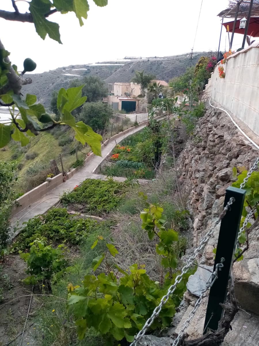 3 bedroom Finca/Country House for sale in La Rabita with pool garage - € 135,000 (Ref: 9205724)