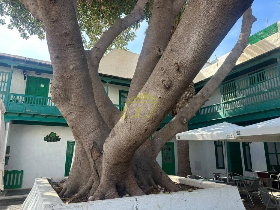 2 soveværelse Lejlighed til salg i Costa Teguise - € 399.000 (Ref: 10158942)