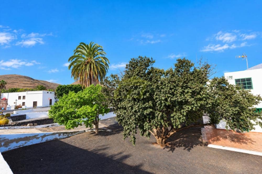 Chalet de 2 habitaciones en Yaiza en venta con piscina garaje - 575.000 € (Ref: 10179774)