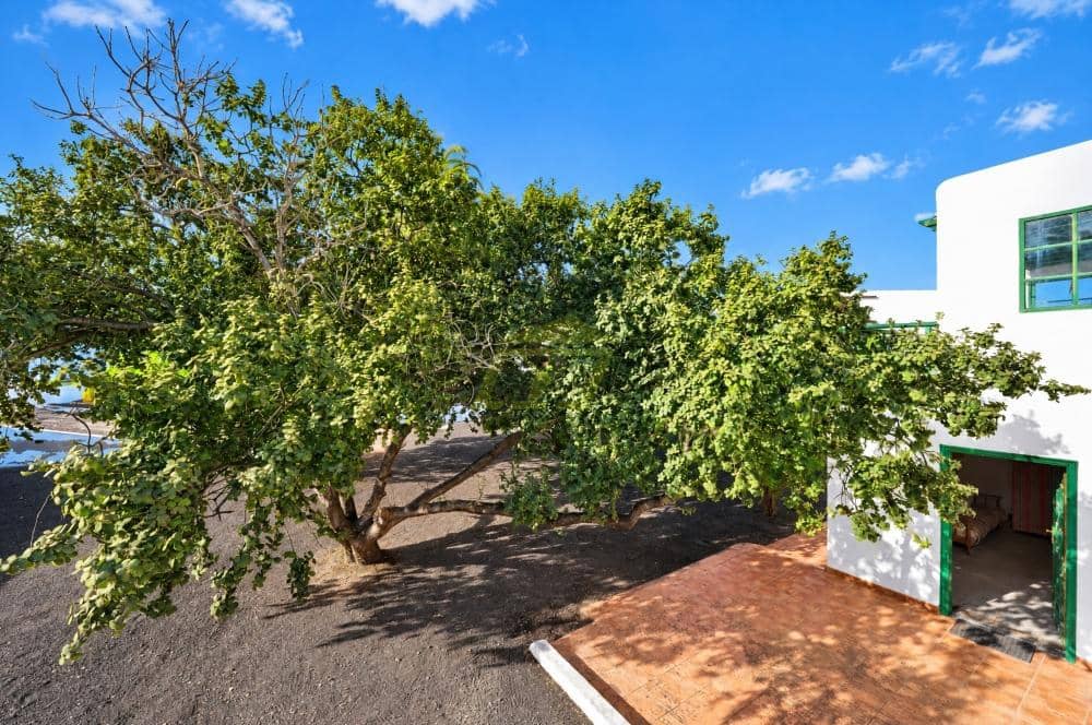 Chalet de 2 habitaciones en Yaiza en venta con piscina garaje - 575.000 € (Ref: 10179774)