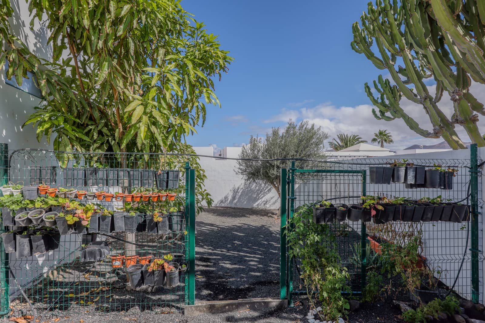 2 soveværelse Semi-Rækkehus til salg i Playa Blanca med swimmingpool - € 415.000 (Ref: 8578614)