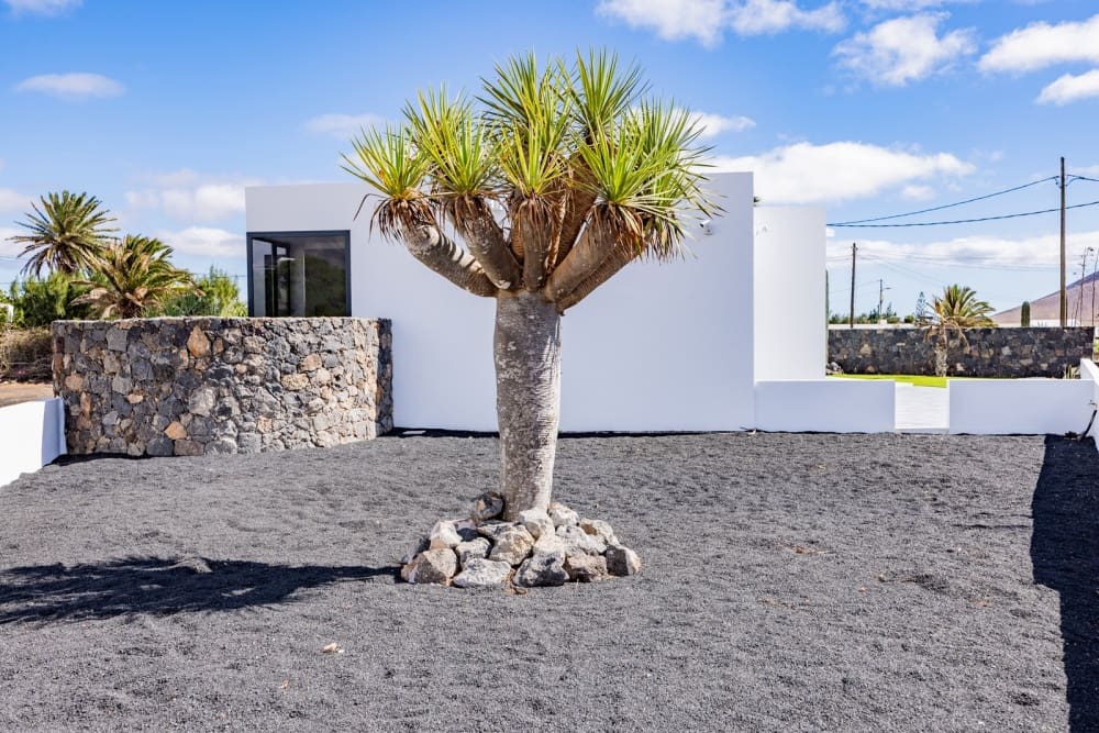 3 Zimmer Villa zu verkaufen in Teguise mit Pool - 600.000 € (Ref: 9458512)