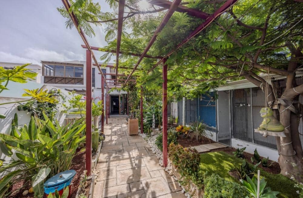 Chalet de 4 habitaciones en Costa Teguise en venta - 570.000 € (Ref: 9458522)